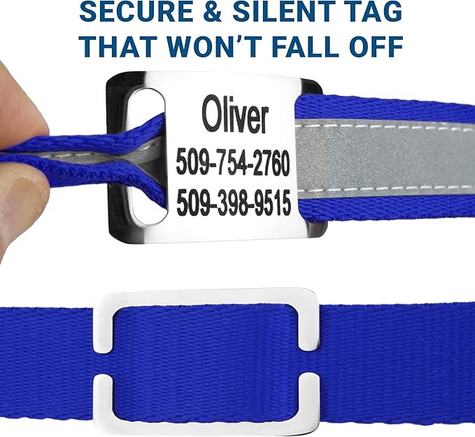 GoTags Reflective Personalized Dog Collar with Nameplate, Adjustable Dog Collar with Custom Engraved Steel Slide On Pet ID Tag, Silent, No Noise Dog Tag for Large Medium or Small (Blue, Small)