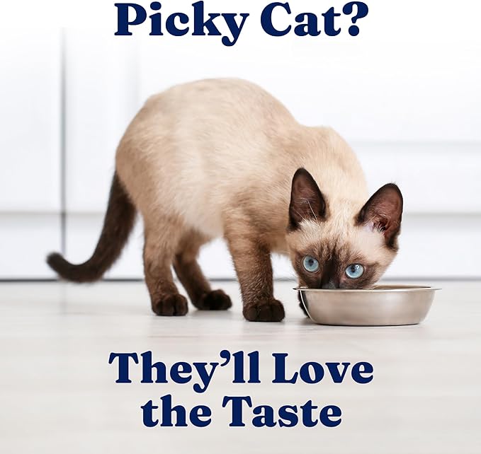 Solid Gold Wet Cat Food Pate in Coconut Oil - Healthy Canned Cat Food Pate w/Real Salmon, Omega Fatty Acids, Vitamins & Minerals - Grain Free & Gluten Free Canned Meals for Cats & Kittens - 24ct/3oz