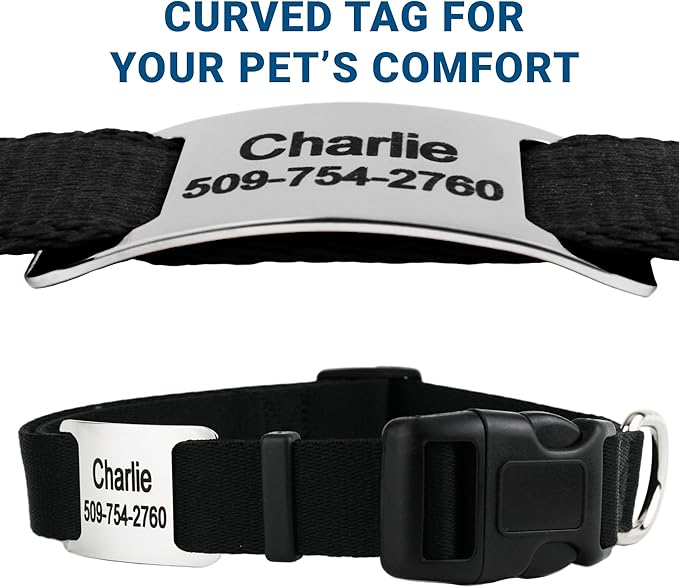 GoTags Reflective Personalized Dog Collar with Nameplate, Adjustable Dog Collar with Custom Engraved Steel Slide On Pet ID Tag, Silent, No Noise Dog Tag for Large Medium or Small (Light Gray, Large)