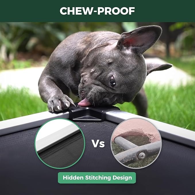 FXW TitanNest Chew-Proof Elevated Dog Bed, Raised Cot for Indoor/Outdoor/Camping Use, Durable & Waterproof Cooling Pet Bed for Medium Dogs, 42.0" L x 27.0" W x 5.0" H, Black