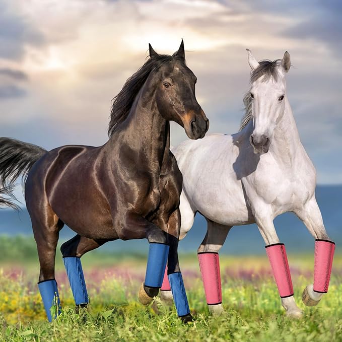Jexine 12 Fly Boots for Horse Set of 12 Loose Breathable Mesh Horse Fly Sheets Protective Horse Leg Wraps Leggings for Preventing Flies and Mosquitoes Bites (Blue, Green,Red)