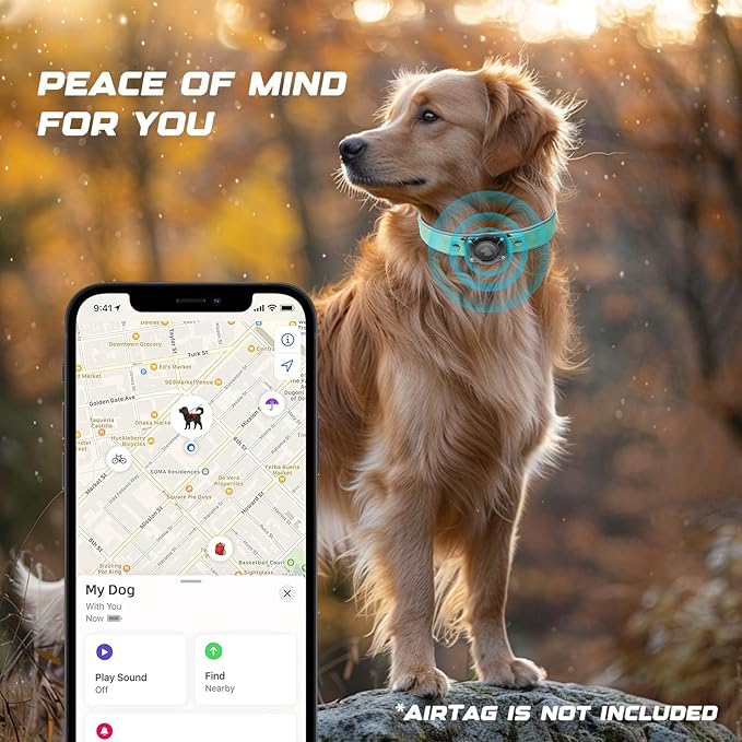 AirTag Dog Collar - Leather Dog Collar with Air Tag Holder | IPX8 Waterproof, Reflective, High - End, Adjustable Soft Padded | Dog GPS Tracker Collars Fit for Medium Large Dogs (Teal, L)