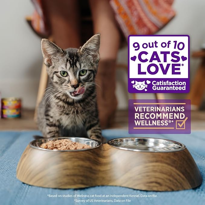 Wellness Healthly Indulgence Shreds Adult Wet Cat Food, Natural, Protein-Rich, Grain Free, 3 Ounce Pouch, 24 Pack, (Chicken & Turkey)