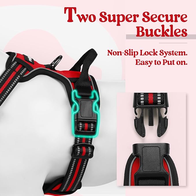 rabbitgoo Dog Harness No Pull with 2 Leash Clips, Adjustable Soft Padded, Reflective Oxford No Choke Pet Vest with Easy Control Handle for Small Dogs, Red, S