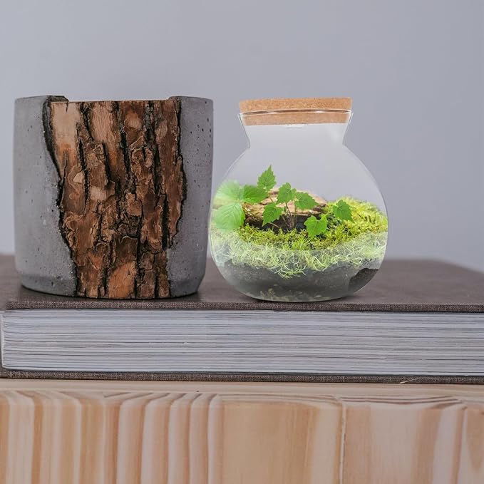 Fish Bowl with LED Light - Small Betta Fish Tank with LED Lighting and Lid Glass Fish Bowl Small Aquarium for DIY Landscape