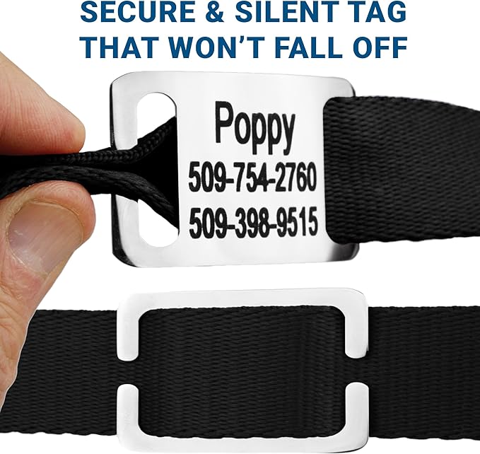 GoTags Reflective Personalized Dog Collar with Nameplate, Adjustable Dog Collar with Custom Engraved Steel Slide On Pet ID Tag, Silent, No Noise Dog Tag for Large Medium or Small (Light Gray, Small)