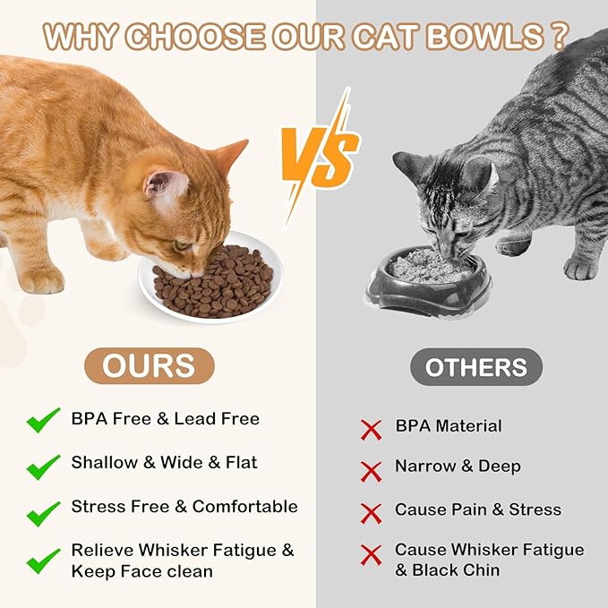 TRUVIC 4 Pack Ceramic Cat Food Bowls, 5.9 Inch Ceramic Cat Dishes Set for Indoor Cats and Small Dogs, Anti Whisker Fatigue Kitten Bowls, Wide Shallow Kitten Plates for Food and Water (Fishbone)