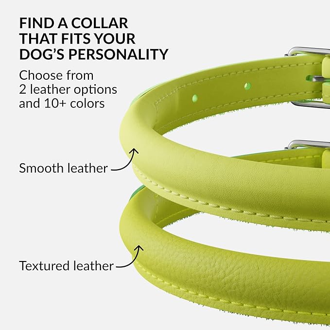 CollarDirect Rolled Leather Dog Collar, Soft Padded Round Puppy Collar, Handmade Genuine Leather Collar Dog Small Large Cat Collars 13 Colors (18-22 Inch, Lime Green Smooth)