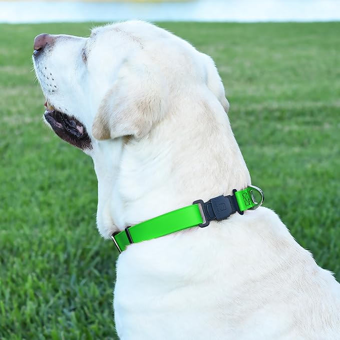 Dogline Biothane Waterproof Dog Collar with Herm Sprenger Stainless Steel Quick Release Buckle – Heavy Duty Tactical Durable Collar for Dogs – Comfortable and Safe Pet Collar, W 3/4" L 12-19", Green