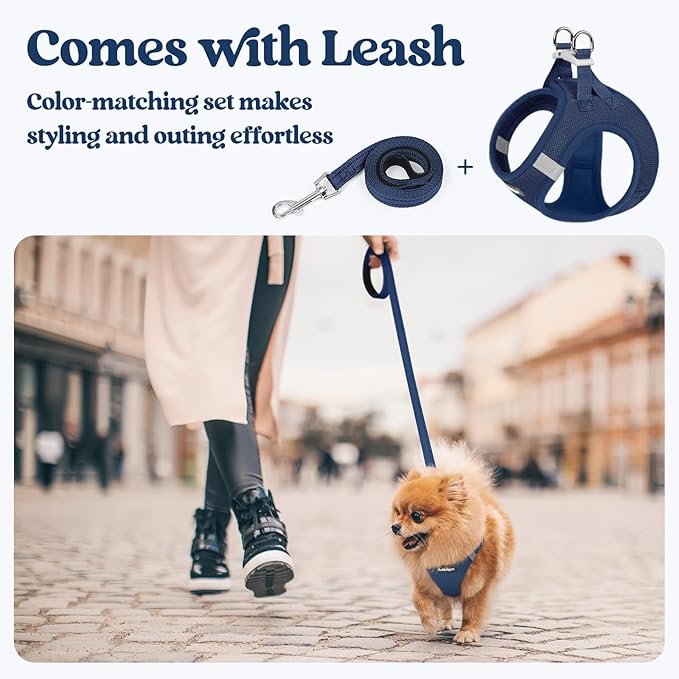 rabbitgoo Dog Harness Small Sized and Leash Set, Step in Soft Light Puppy Vest, Breathable Mesh Pet Harness, Reflective for Outdoor Safe Walking, Navy Blue XL