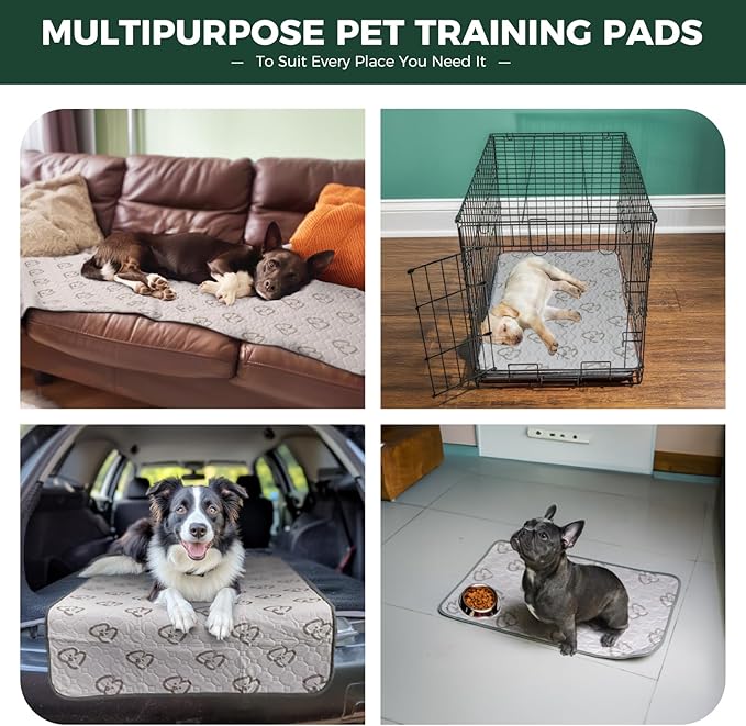 FXW Washable Pee Pads for Dogs, Puppy Pads with Super Absorbent, Specifically Designed for 24inch Cages, 23" × 17" Rectangle, Khaki, 2 Packs