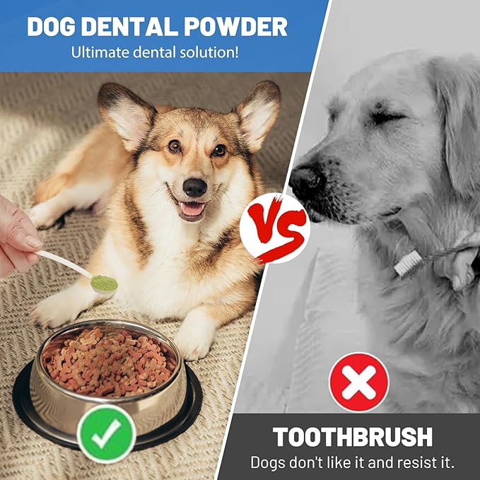 Dog Teeth Cleaning Powder, Dog Dental Powder and Breath Freshener, Plaque Off Pet Tooth Cleaning lab co, Bad Breath & Tartar Remover for Dogs, Natural Herbal Blend - All Breeds & Sizes
