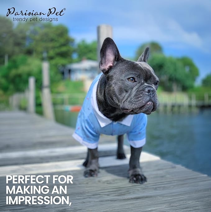 Parisian Nautical Dog Shirt - 100% Cotton Anchor Clothes - Blue and White Costume for Large Dogs