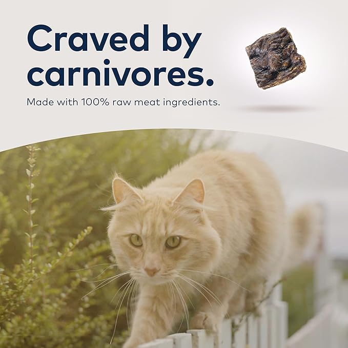 ZIWI Peak Air-Dried Cat Food – Beef - All Natural, High Protein, Grain Free, Limited Ingredient w/ Superfoods (35.2oz)