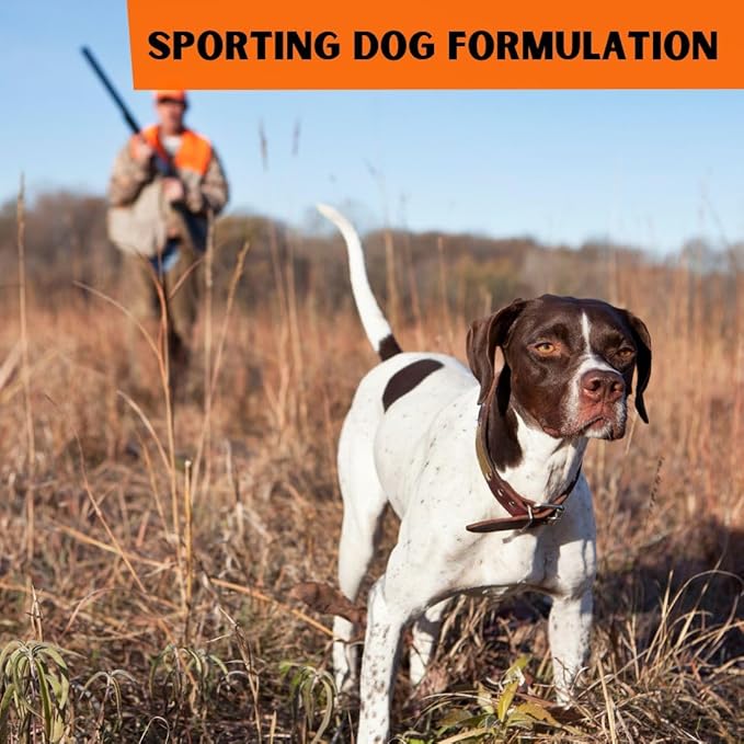 Dr. Connie's Natural Solutions Wound Repair & Care for Sporting Dogs | Veterinarian Formulated Skin Care Solution | Promotes & Enhances Skin Healing