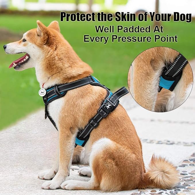 PoyPet No Pull Dog Harness, Reflective Comfortable Vest Harness with Front & Back 2 Leash Attachments and Easy Control Handle Adjustable Soft Padded Pet Vest for Small to Large Dogs (Blue,S)