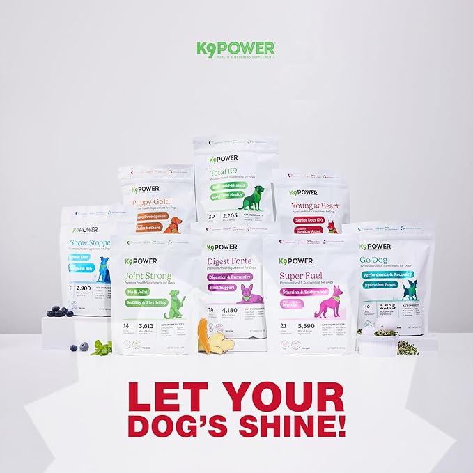 K9 Power Young at Heart Senior Dog Multivitamin 1 lb – Advanced Supplement for Seniors – Supports Brain, Heart, Vision, Joint Health, and Mobility