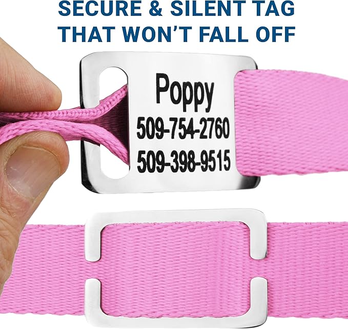 GoTags Personalized Dog Collar with Nameplate, Adjustable Dog Collar with Custom Engraved Slide On Pet ID Tag in Stainless Steel, Silent, No Noise Dog Tag for Large Medium and Small (Pink, Medium)