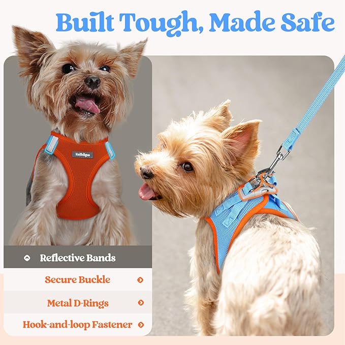 rabbitgoo Dog Harness Small Medium Sized and Leash Set, Step in Soft Light Puppy Vest, Breathable Mesh Pet Harness, Reflective for Safe Easy Walking, Blue & Orange XL