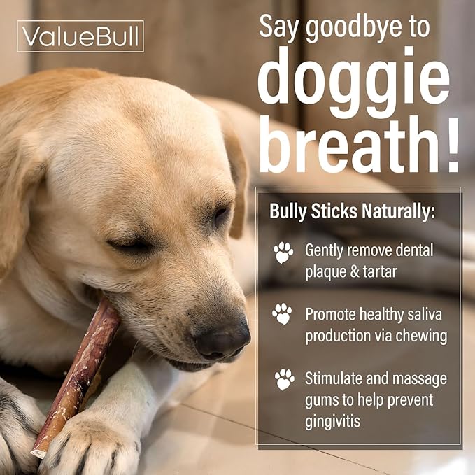 ValueBull Bully Sticks for Large Dogs, Super Jumbo 6 Inch, 50 Count - All Natural, Grass Fed, Single Ingredient, Long Lasting Dog Treats for Aggressive Chewers