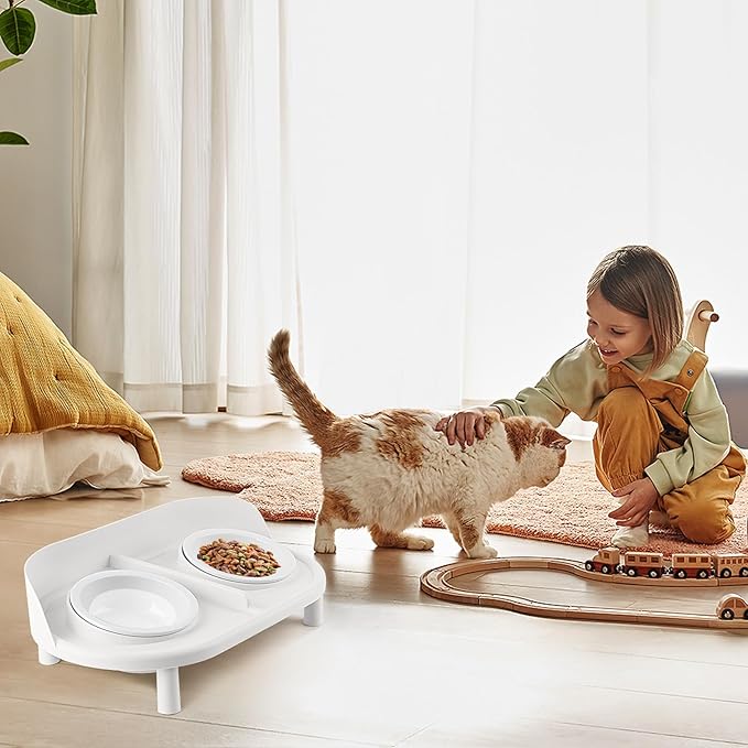 Elevated Cat Bowls, Tilted Rised Cat Food and Water Bowl with 2 Pcs Ceramic Pet Bowls, Rised Stand, Pet Dish Anti Vomiting Feeding Station for All Sized Cats & Small Dogs (White)