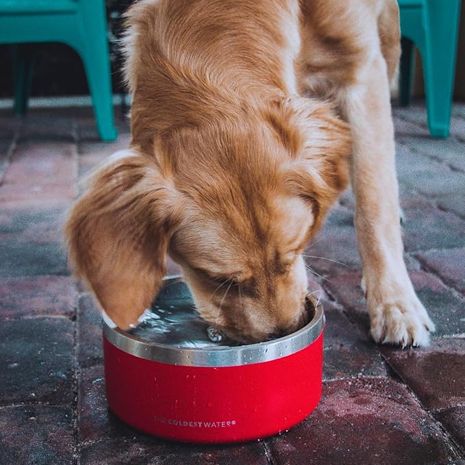 Coldest Dog Bowl - Anti Rust Metal, Non Slip, 3 Layers Insulated Stainless Steel Dog Bowls - Spill Proof & Heavy Duty - Water Bowl for Dogs, Cats & Pets, Dish Washer Safe (42 oz, Sahara Peach)