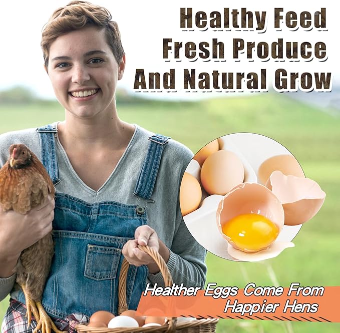 Dried Black Soldier Fly Larvae 20LBS, 85X More Calcium Than Mealworms High-Protein BSF Larvae Chicken Treats Non-GMO BSFL for Chickens, Hens, Ducks, Wild Birds