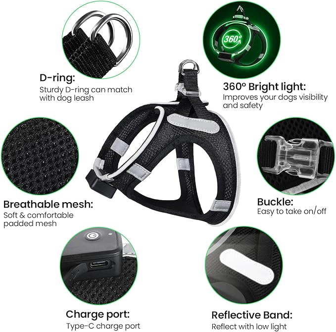 PceoTllar Light Up Dog Harness, LED No Pull Reflective Dog Harness, Flashing Lighted for Night Walking - Small/Medium, (Black Green,s)