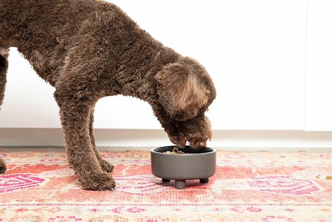 Waggo Uplift Ceramic Dog Bowl for Small Medium and Large Breeds - Heavyweight and Durable Pet Food and Water Dish Crock, Dishwasher Safe, Modern, Elevated Feeder (Small, Black)
