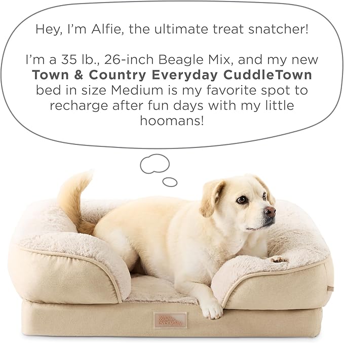 TOWN & COUNTRY EVERYDAY CuddleTown Comfy Solid Bolster Sofa Pet Bed, Supportive & Calming Egg Crate Foam, Non-Slip Bottom, Machine Washable Cover, Grey, Medium 28"x23"x8"