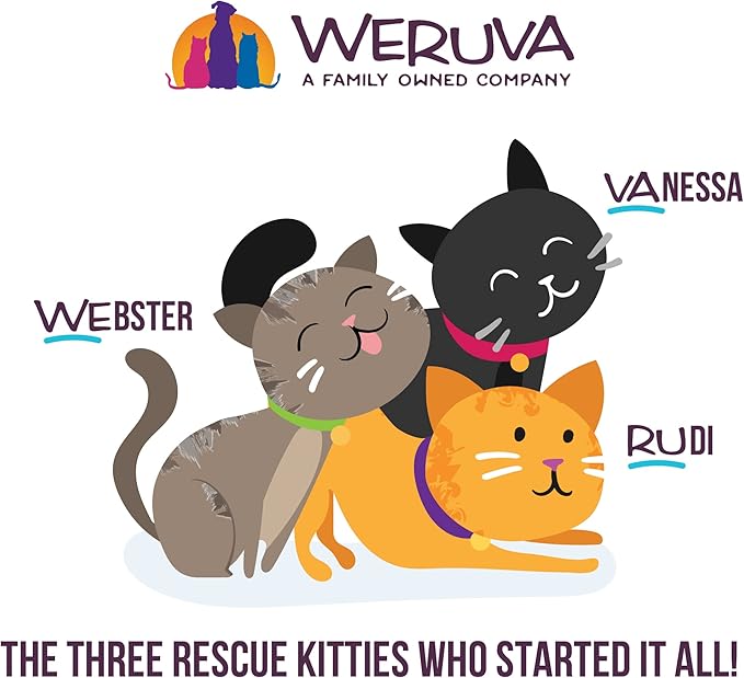 Weruva B.F.F. Play - Best Feline Friend Paté Lovers, Aw Yeah!, Chicken & Lamb Laugh Out Loud with Chicken & Lamb, 5.5oz Can (Pack of 8)
