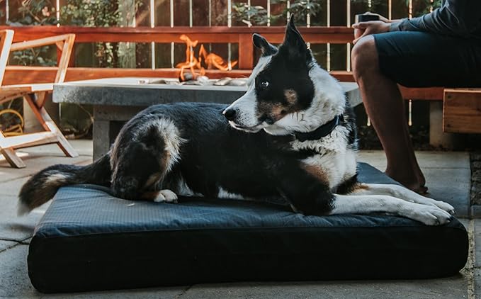 K9 Ballistics Tough Ripstop Orthopedic Rectangle Dog Bed Removable Washable Cover, Solid Orthopedic Foam for XX-Large Dogs 68"x40", Obsidian Black