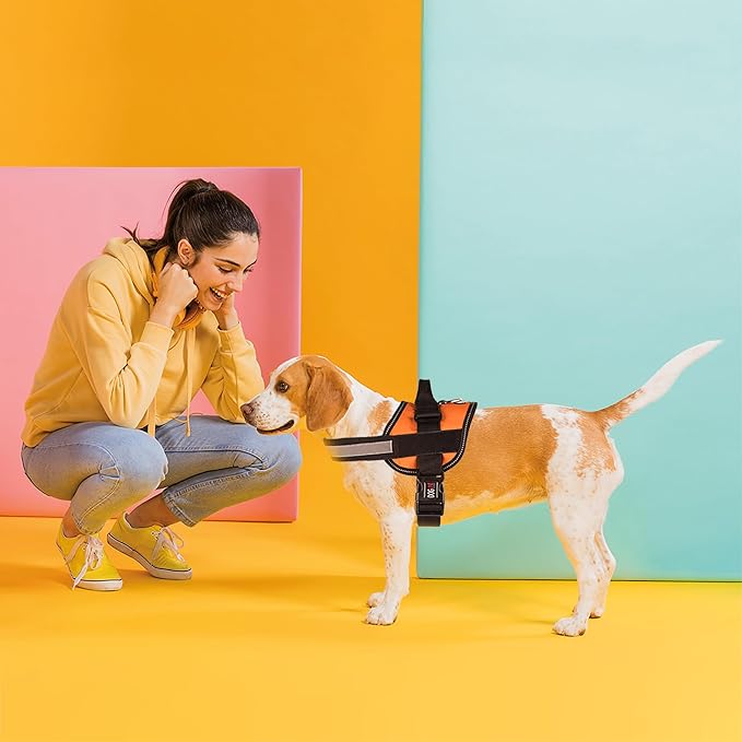 Dogline Dog Harness, Reflective No-Pull Adjustable Vest with Handle for Walking, Training, Breathable, No - Choke Harness for Small, Medium or Large Dogs Room for Patches Girth 27 to 34 in Orange