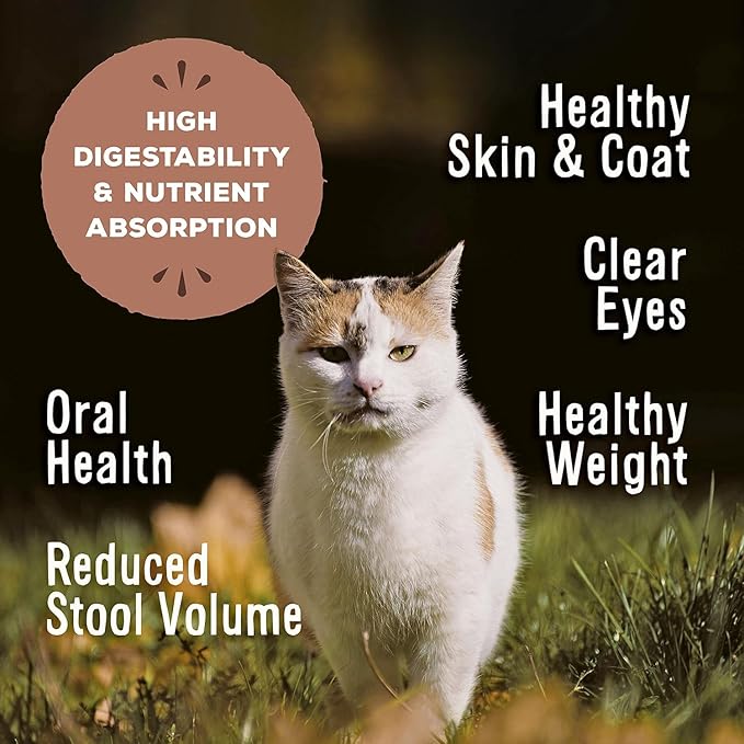 Primal Freeze Dried Raw Cat Food Nuggets Chicken & Salmon, Complete & Balanced Meal or Topper, Premium, Healthy, Grain Free, High Protein Raw Cat Food with Probiotics (5.5 oz)