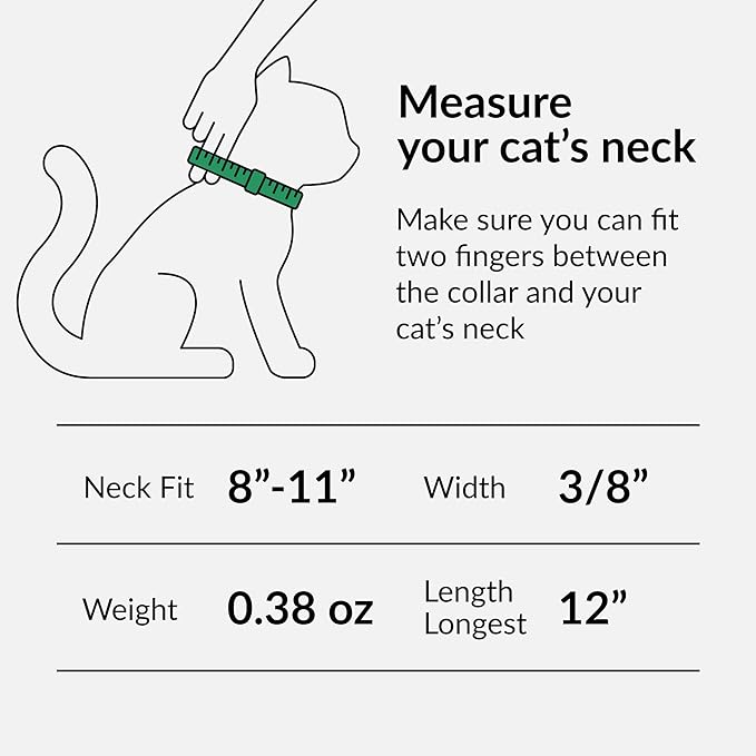 CollarDirect Leather Cat Collar, Kitten Collar with Removable Bell Black Blue Red Orange Lime Green (8-11 Inch, Lime Green)