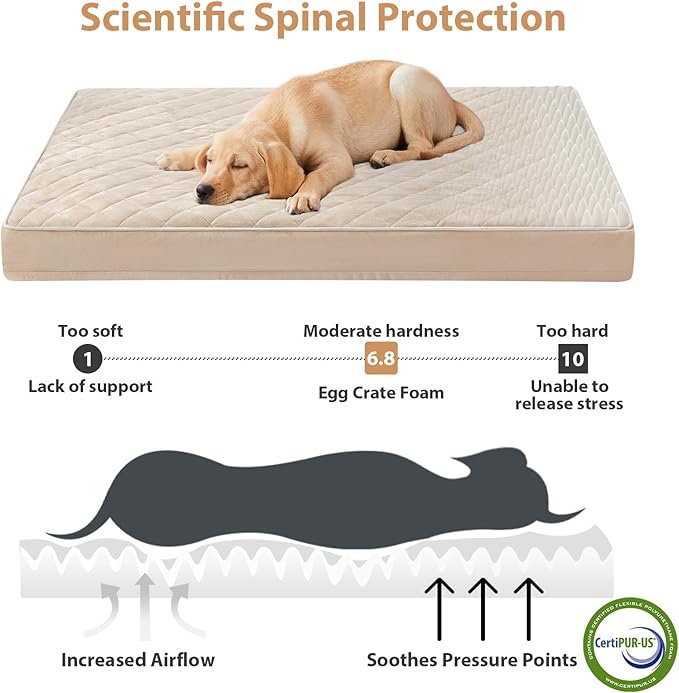 WNPETHOME Orthopedic XL Dog Beds Large Sized Dog, Waterproof Extra Large Dogs Bed with Removable Washable Cover, Multi-Needle Quilting Dogs Crate Bed
