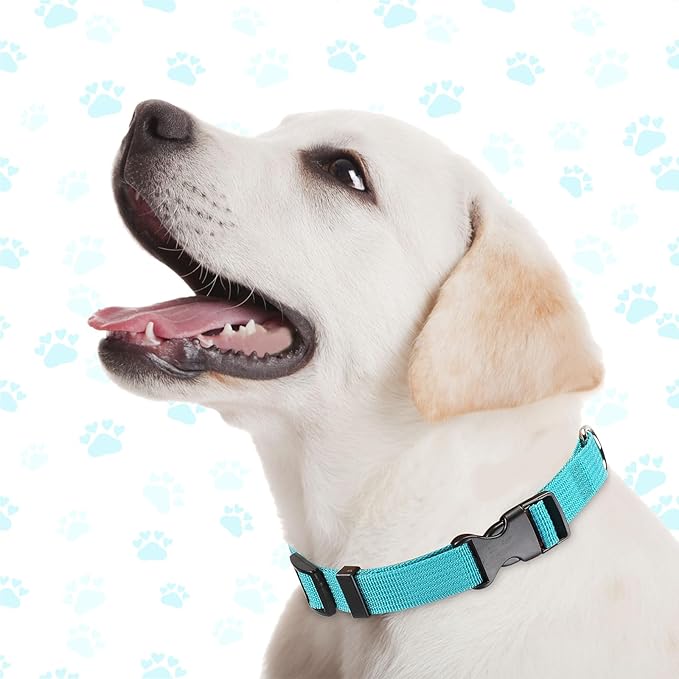 9 Pieces Adjustable Dog Collar for Animal, Soft Nylon Pets Puppy Collar with Quick Release Buckle Holder Bulk for Dogs Walking Running Training(Medium,Bright Colors)