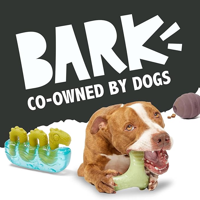 Barkbox Torbert The Troll Dog Toy for Small Dogs – Natural Rubber with Wacky Bounce – Perfect for Aggressive Chewers and Long-Lasting Playtime