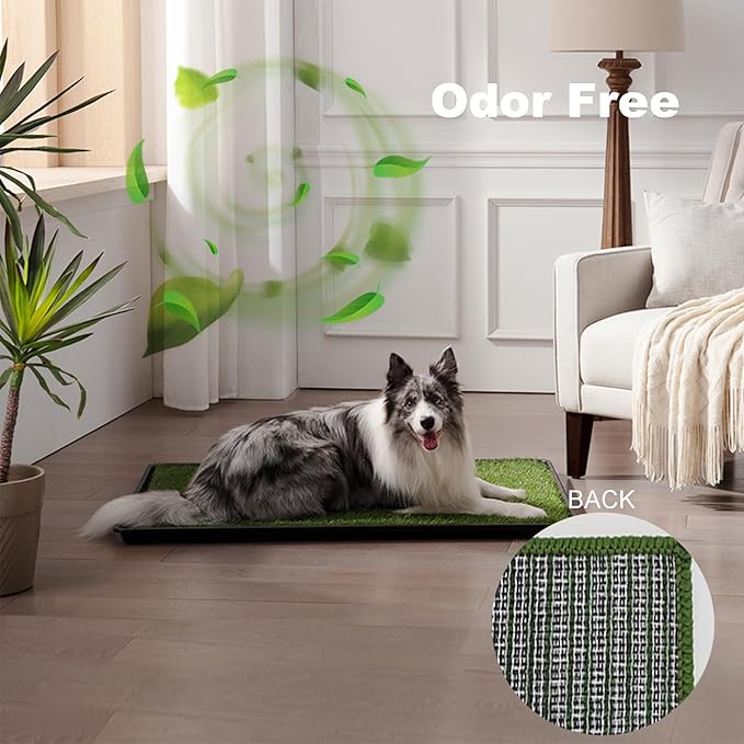 Dog Grass Pad with Tray Medium 31”×21”, Dog Potty with Ultra-Absorbent Artificial Grass for Dogs with Hemmed Edge, Pee Pads for Dogs, Realistic, Odor Free, Litter Box for Balcony