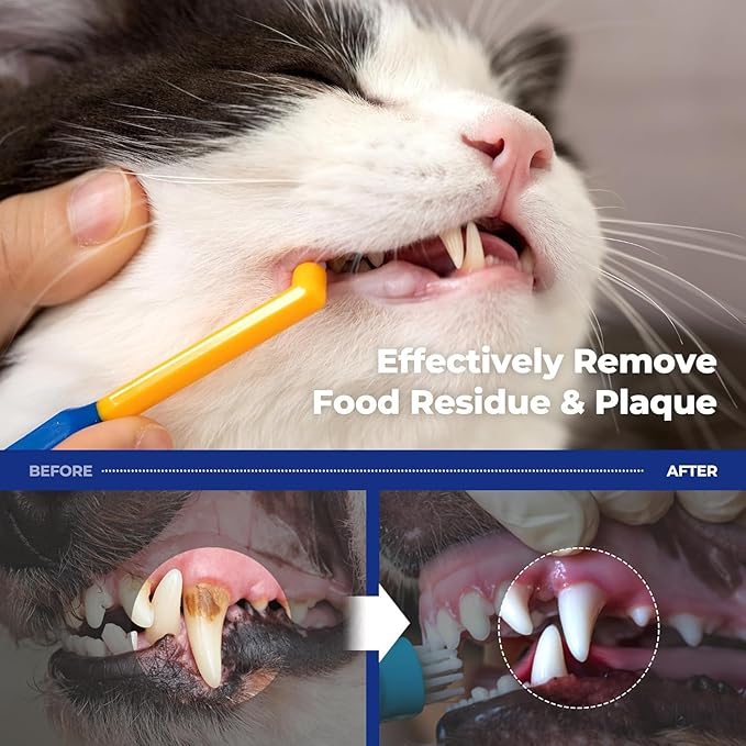 PETHROOM] Pet Toothbrush for Cats and Dogs | Round Shaped Head with Ultra Soft Bristle for Deep Cleaning Dental Care, Kitten and Small Dogs, Tartar Plaque Removal (Deep Point)