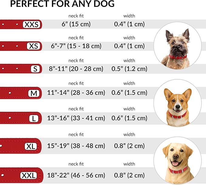 CollarDirect Rolled Leather Dog Collar, Soft Padded Round Puppy Collar, Handmade Genuine Leather Collar Dog Small Large Cat Collars 13 Colors (11-14 Inch, Red Smooth)
