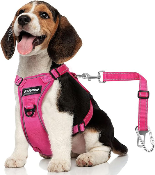 Dog Seat Belt Harness for Car, Dog Car Harness Adjustable Mesh Breathable & Dogs Seatbelt Safety Tether with Elastic Bungee for Small Medium Large Pets(Rose, S)