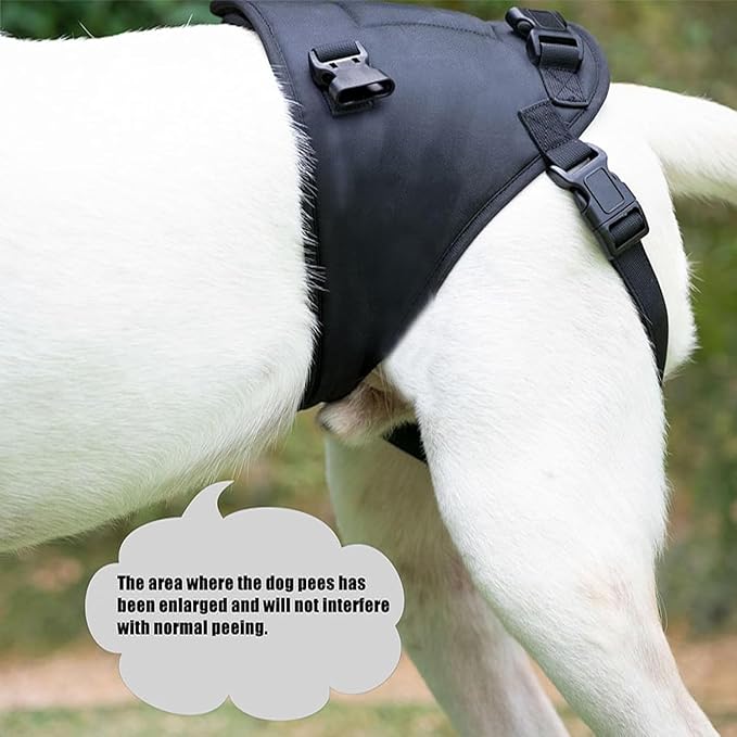 Dog Lift Harness for Dogs with Disabled Arthritis and Weak Back Legs, humanized Design with Comfortable Materials, Adjustable Back Legs and Straps, Suitable for Helping Dogs to Recover and Walk. (M)