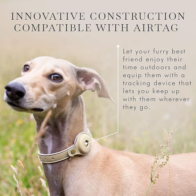 Cupertino Dog Collars, Harnesses & Leashes Made from Vegan Leather with Dog Tracker Device Holder Adjustable Dog Collar (Medium, Beige)