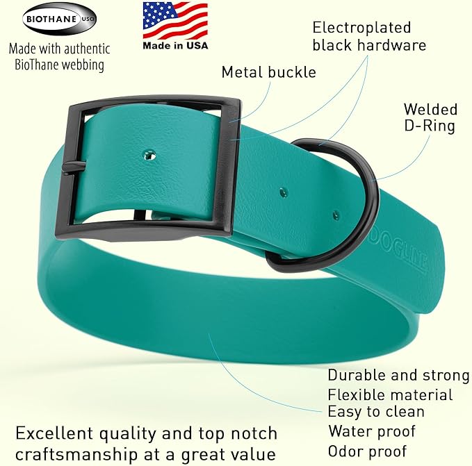Dogline Biothane Waterproof Dog Collar Strong Coated Nylon Webbing with Black Hardware Odor- Proof for Easy Care Easy to Clean High Performance Fits Small Medium or Large Dogs, Blue Aqua