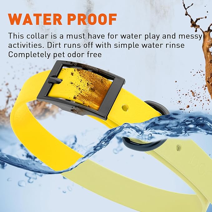 Dogline Biothane Waterproof Dog Collar Strong Coated Nylon Webbing with Black Hardware Odor- Proof for Easy Care Easy to Clean High Performance Fits Small Medium or Large Dogs, Lemon Yellow