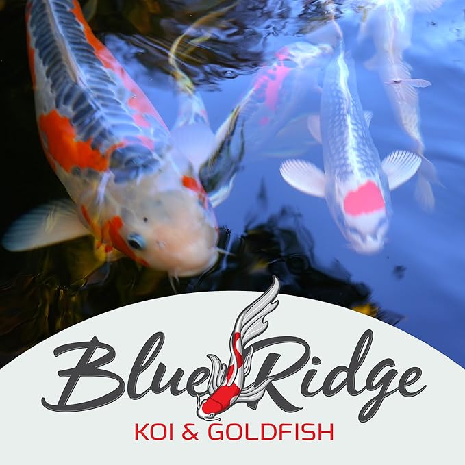 Blue Ridge Koi Fish Food 25lb - Koi Food Mini Growth Formula, Goldfish Food, Premium Fish Food for Ponds, Ponds Fish Food, Floating Pond Pellets