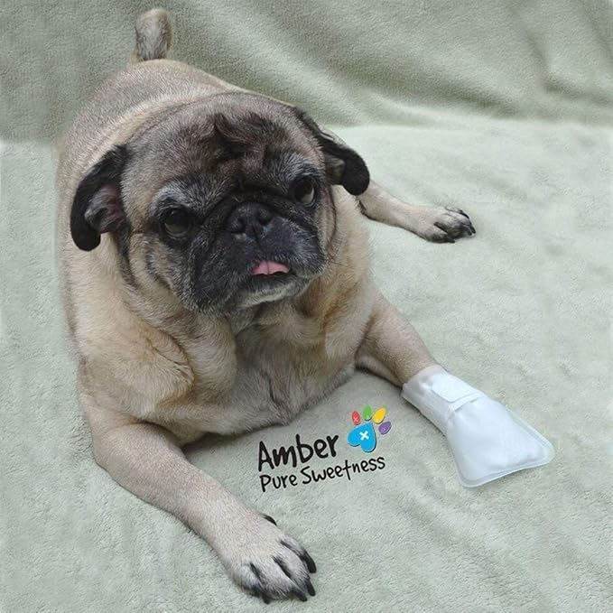 Outdoor Water Proof Cover. Slides Over MediMitts for Dogs paw (which are Sold Separately) Fastens with Medimitt Strap. Useful for hot Spots, Allergies and More. Value 20pack (Small)