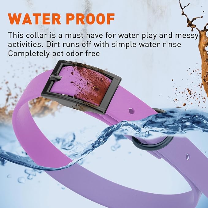 Dogline Biothane Waterproof Dog Collar Strong Coated Nylon Webbing with Black Hardware Odor- Proof for Easy Care Easy to Clean High Performance Fits Small Medium or Large Dogs, Amethyst Purple