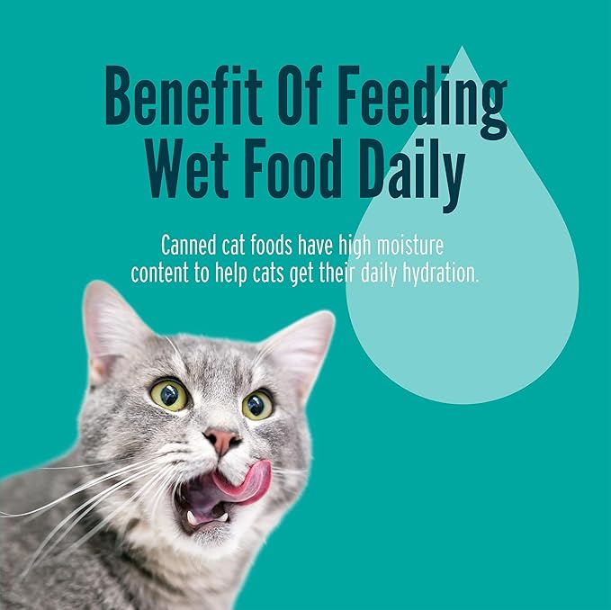 A Strong Heart Canned Wet Cat Food, Chicken, Beef and Salmon Variety Pack - 3 oz Cans (Pack of 24), Made in The USA with Real Chicken, Beef and Salmon